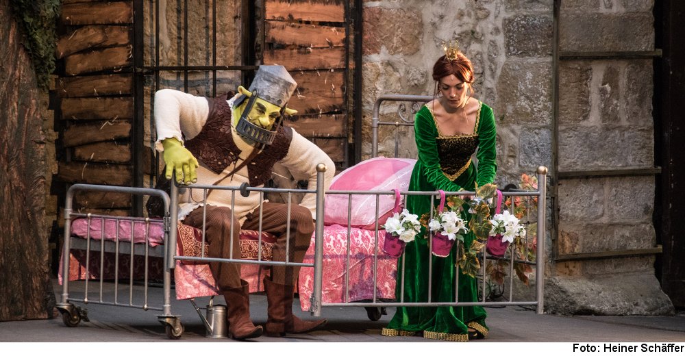 „Shrek“ in Tecklenburg (Foto: Heiner Schäffer)